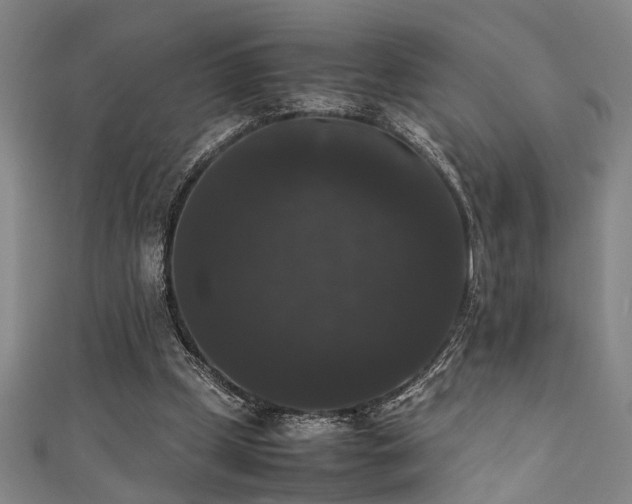 X0000111370249200907101217