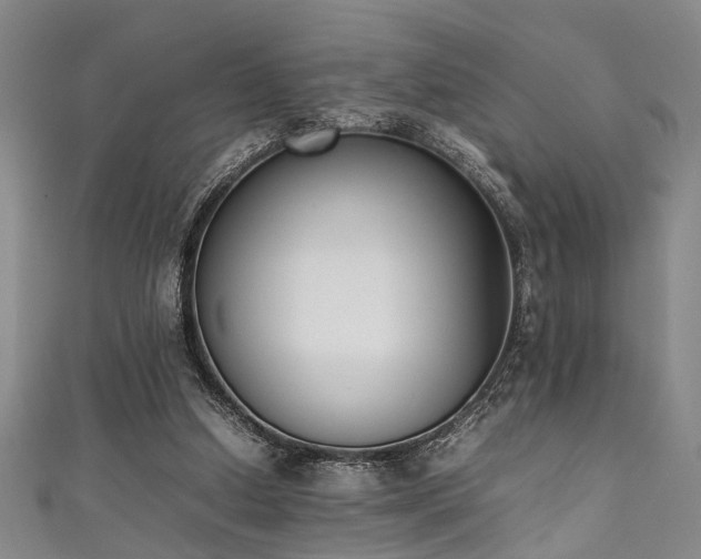 X0000111370250200907101217