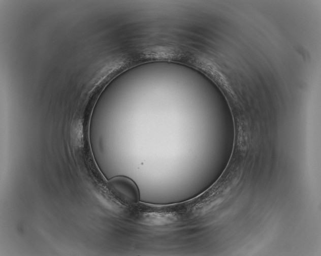 X0000111370251200907101217