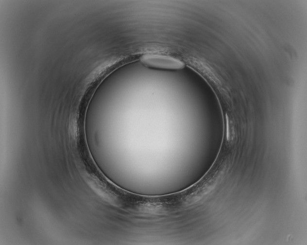 X0000111370252200907101217
