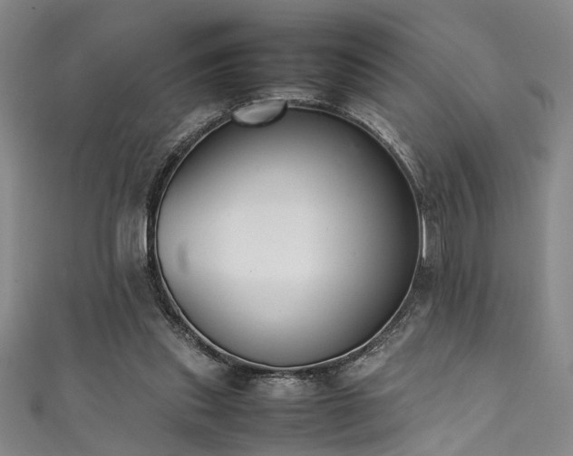 X0000111370253200907101217