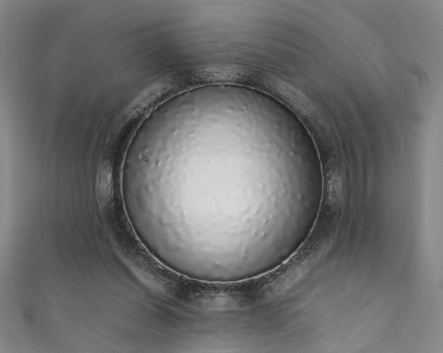 X0000111370254200907101217