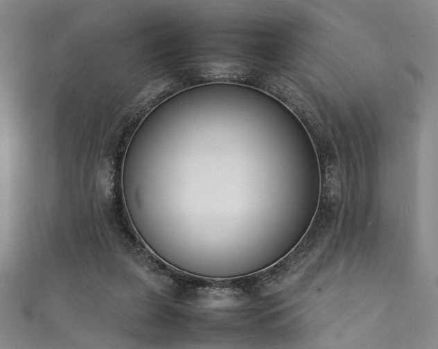 X0000111370255200907101217