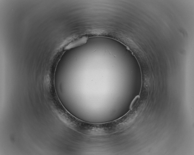 X0000111370256200907101217