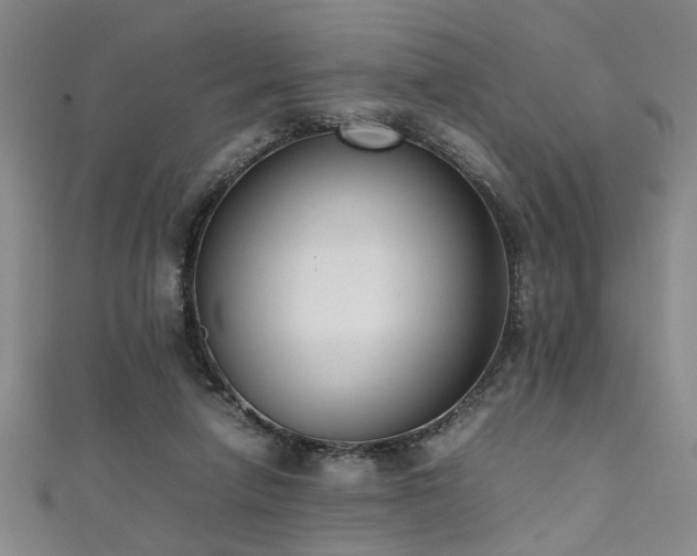 X0000111370258200907101217