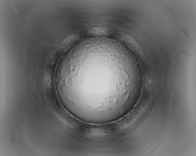 X0000111370259200907101217