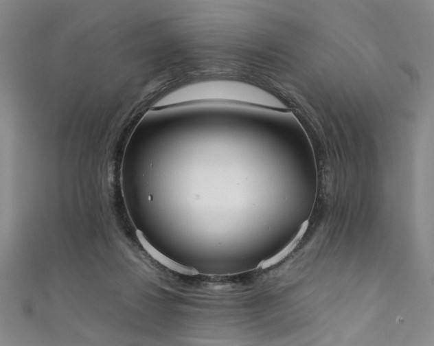 X0000111370260200907101217