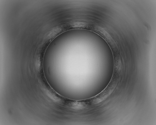 X0000111370261200907101217