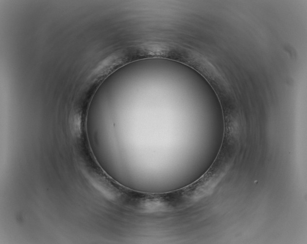 X0000111370262200907101217