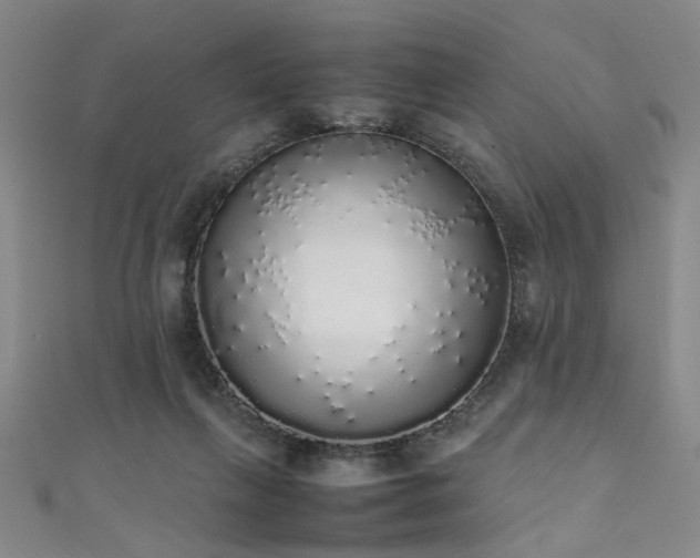 X0000111370263200907101217