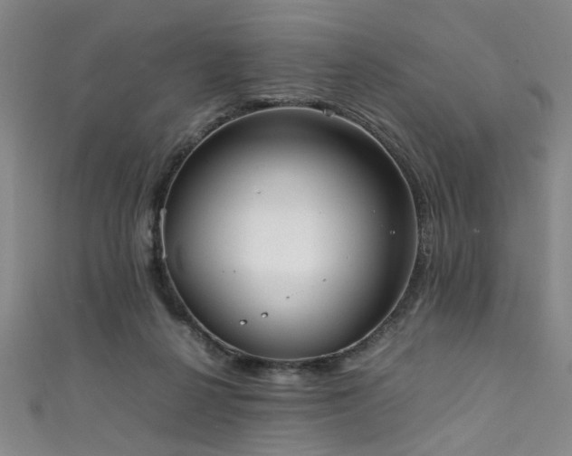 X0000111370264200907101217