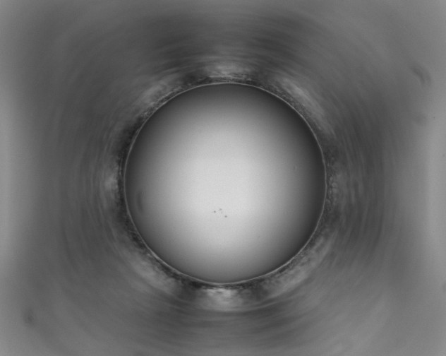 X0000111370265200907101217