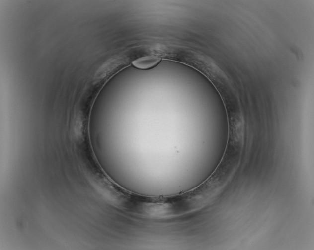 X0000111370266200907101217