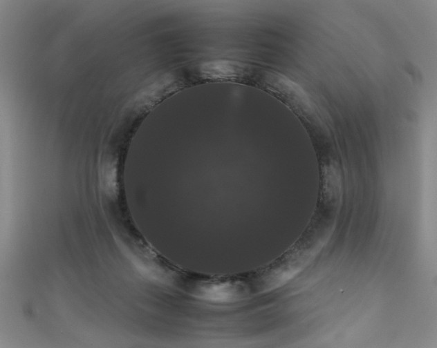 X0000111370267200907101217