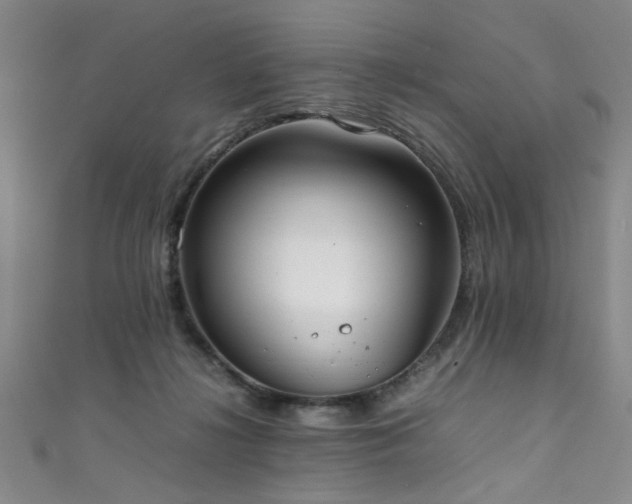 X0000111370268200907101217