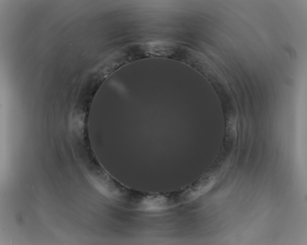 X0000111370271200907101217