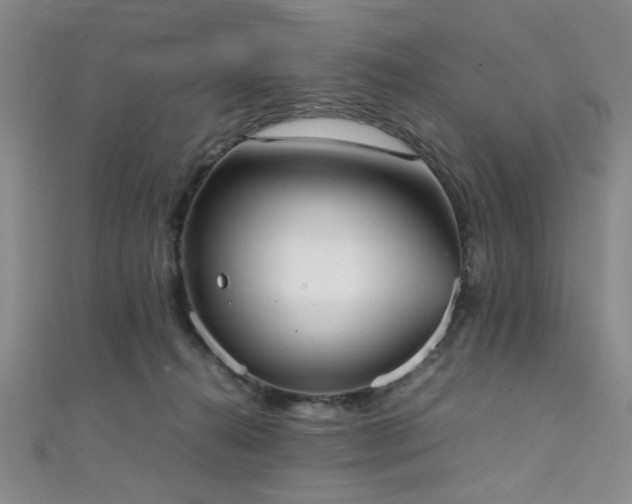 X0000111370272200907101217