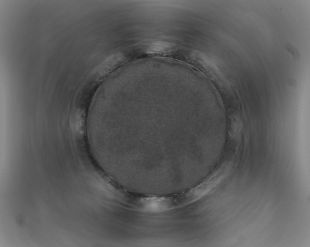 X0000111370273200907101217