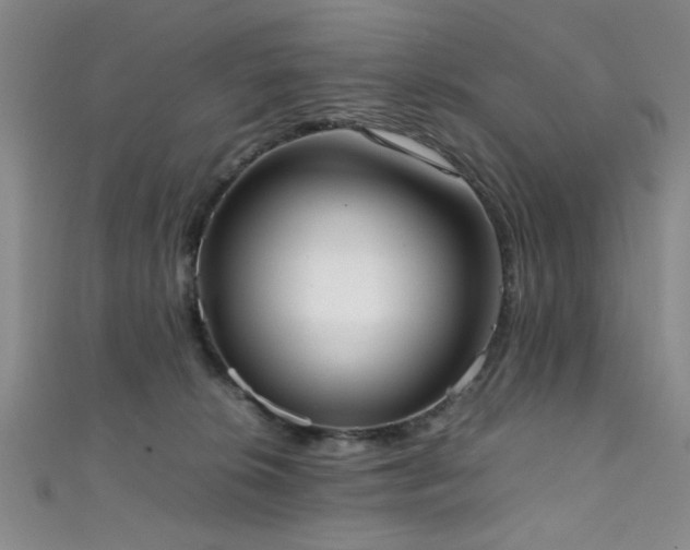 X0000111370276200907101217
