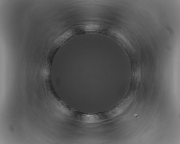 X0000111370277200907101217