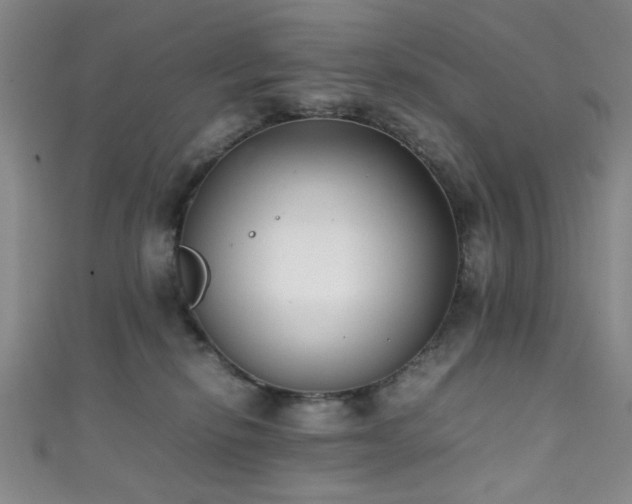 X0000111370278200907101217
