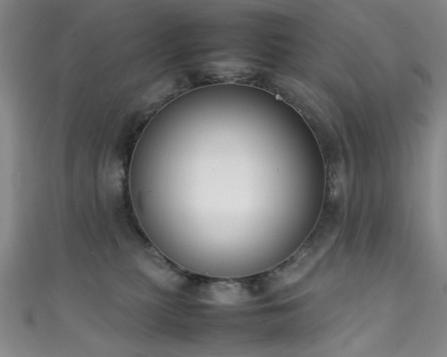 X0000111370279200907101217