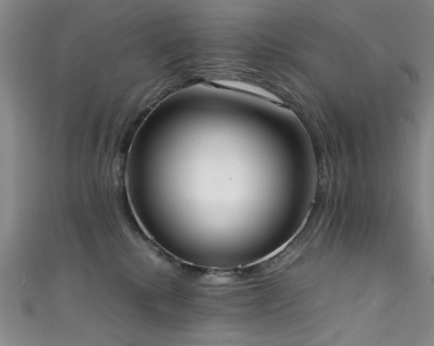 X0000111370280200907101217