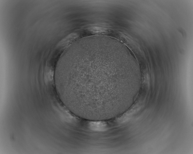 X0000111370281200907101217