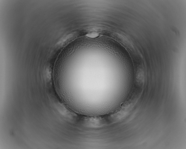 X0000111370282200907101217