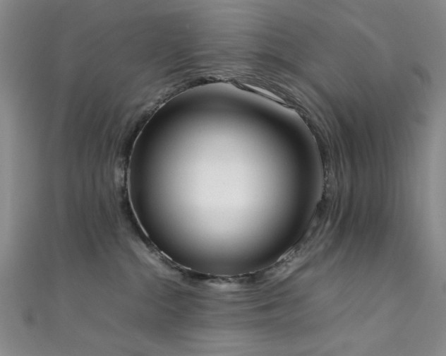 X0000111370284200907101217