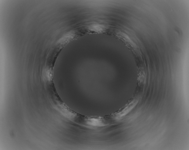 X0000111370285200907101217