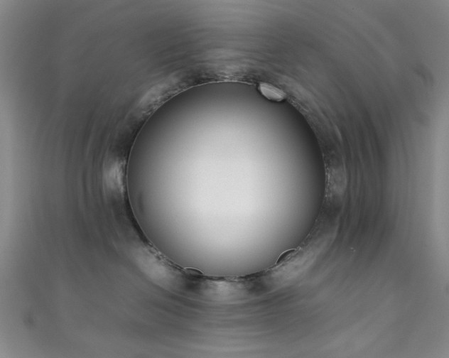 X0000111370286200907101217