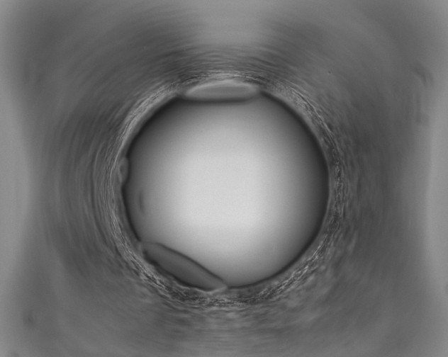 X0000111370289200907101217