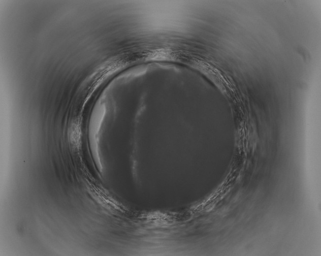 X0000111370290200907101217