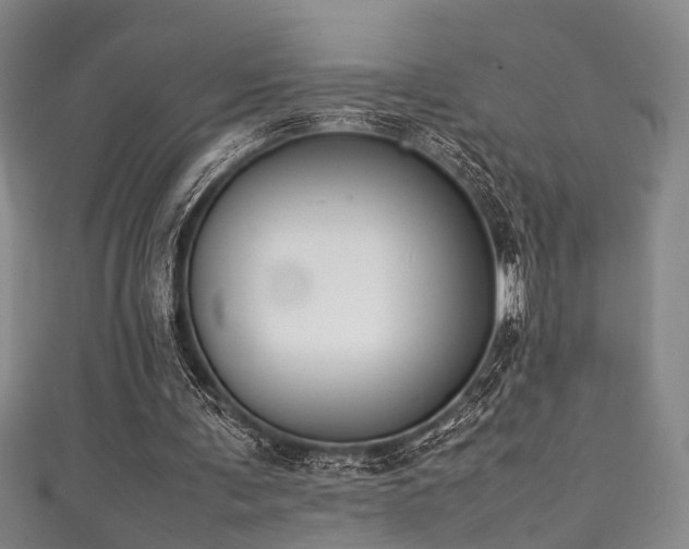 X0000111370291200907101217