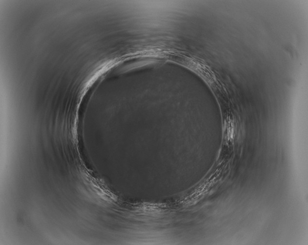 X0000111370292200907101217