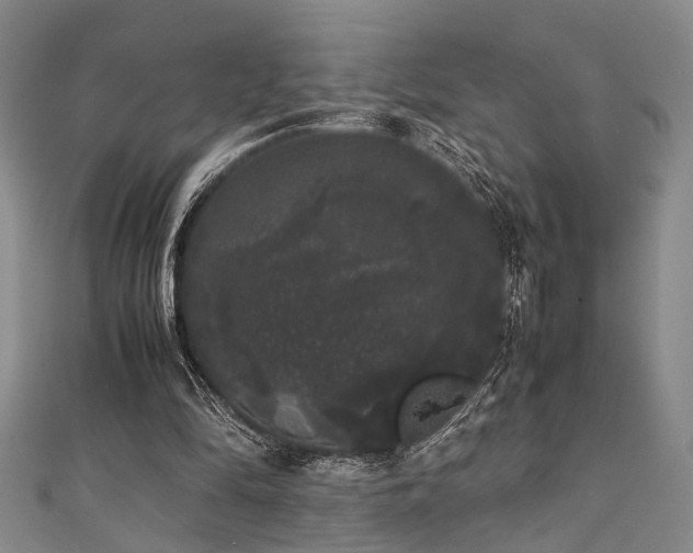 X0000111370294200907101217
