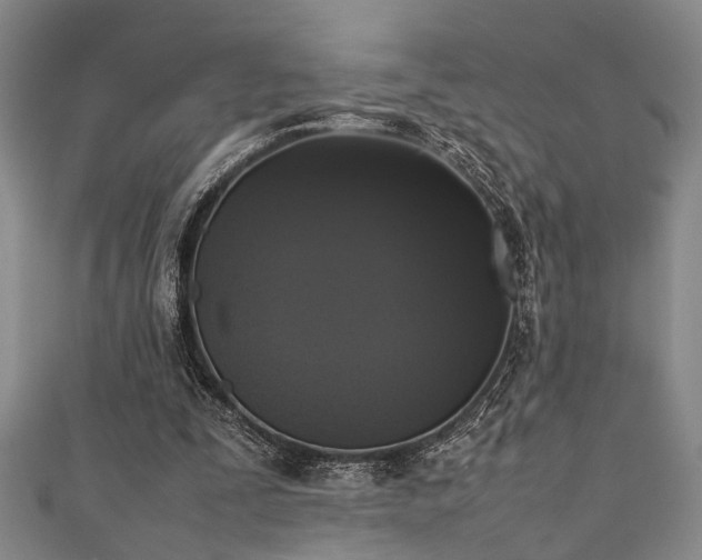 X0000111370295200907101217
