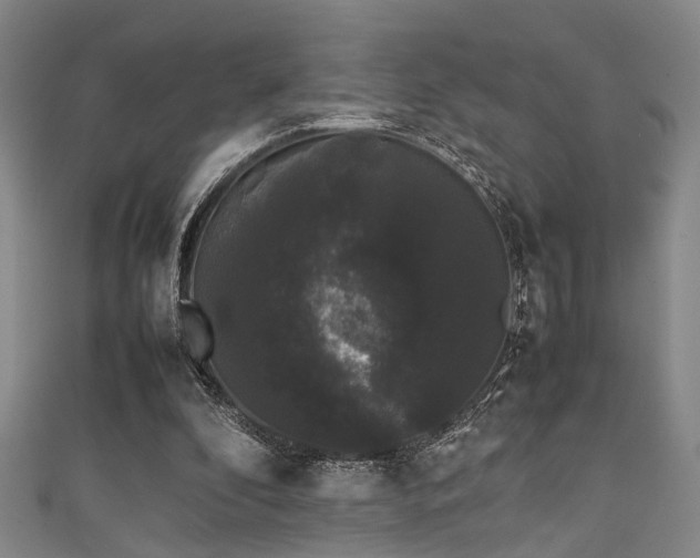 X0000111370296200907101217