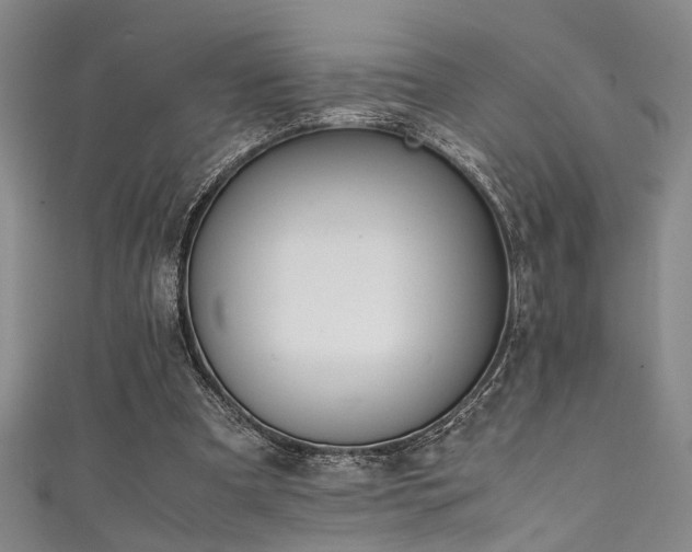 X0000111370297200907101217