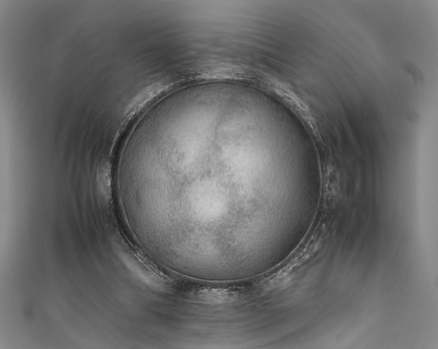 X0000111370298200907101217