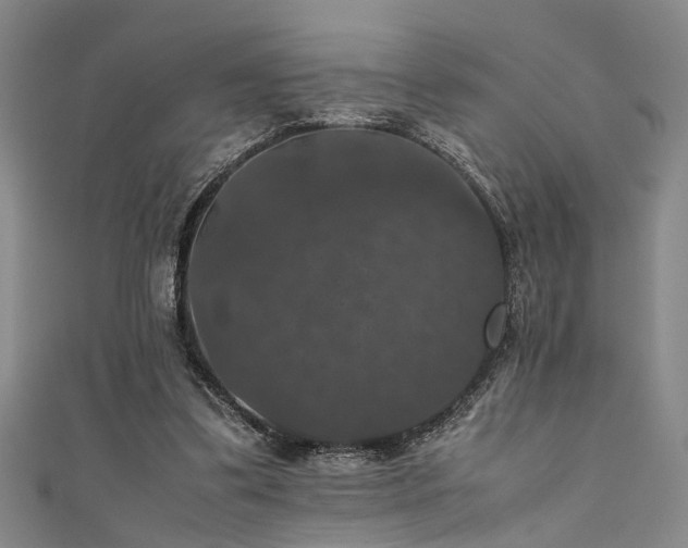 X0000111370299200907101217