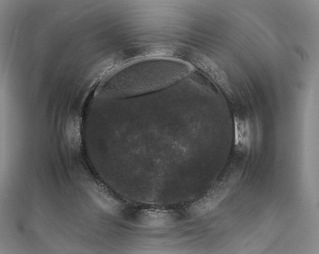 X0000111370300200907101217