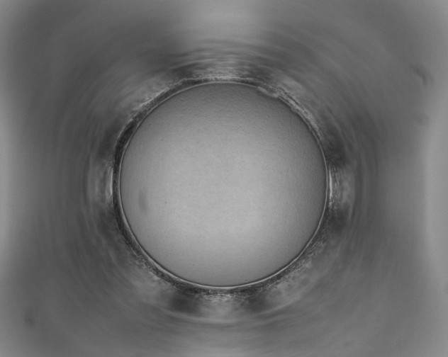 X0000111370301200907101217