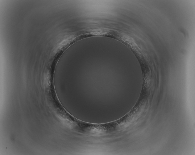 X0000111370303200907101217