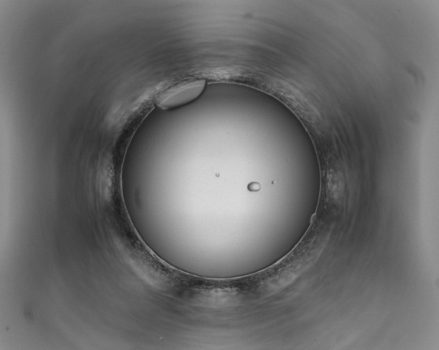 X0000111370304200907101217