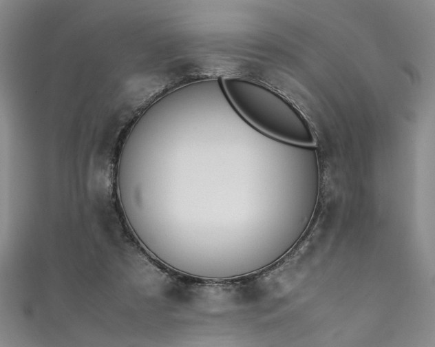 X0000111370305200907101217