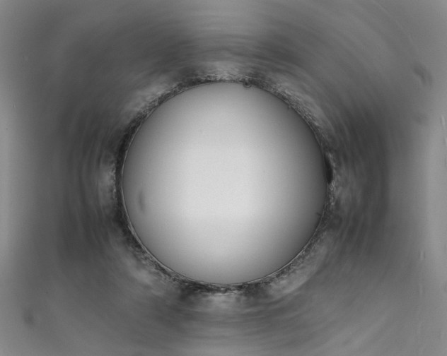 X0000111370306200907101217