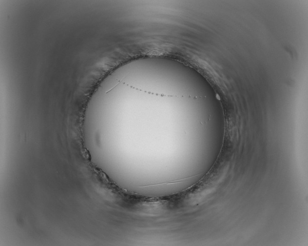 X0000111370307200907101217