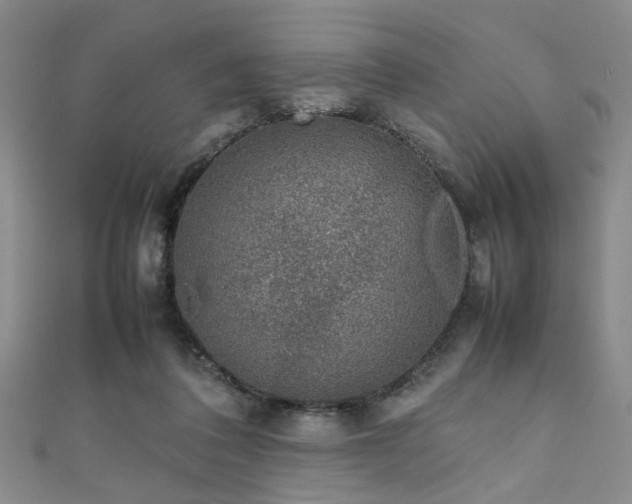 X0000111370308200907101217